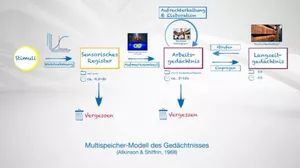 Multispeicher-Modell des Gedächtnisses